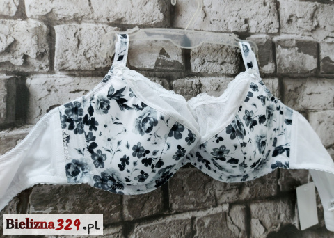 stanik F stanik F
