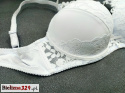 Stanik C Stanik C