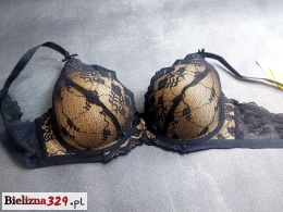Stanik C