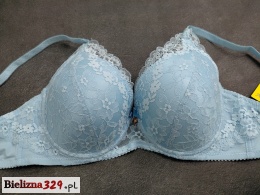 Stanik C